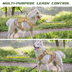 WINGOIN harness with handle and two D-rings enables controlled walks