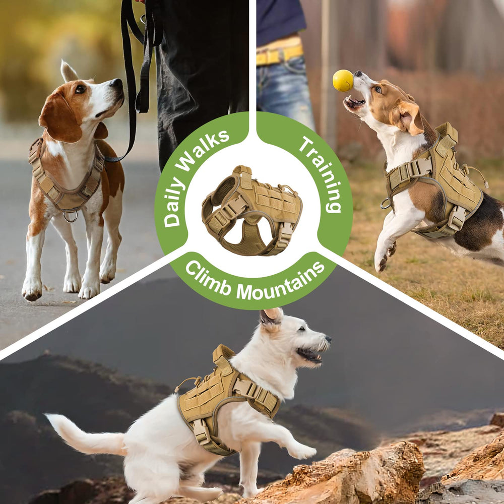 WINGOIN khaki tactical harness suited for French Bulldog and pug adventures