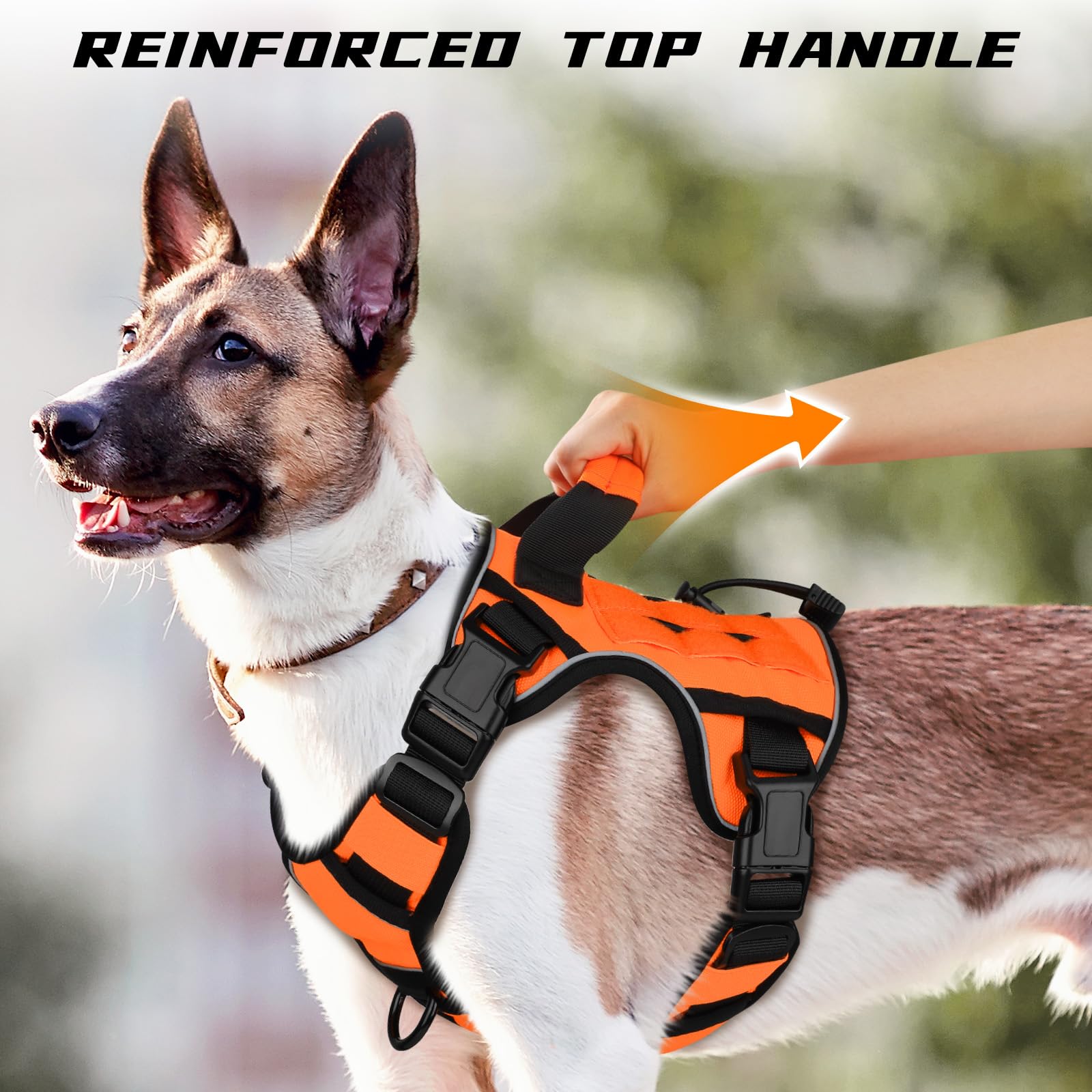 WINGOIN harness reflective strip improves evening visibility for safe walks.