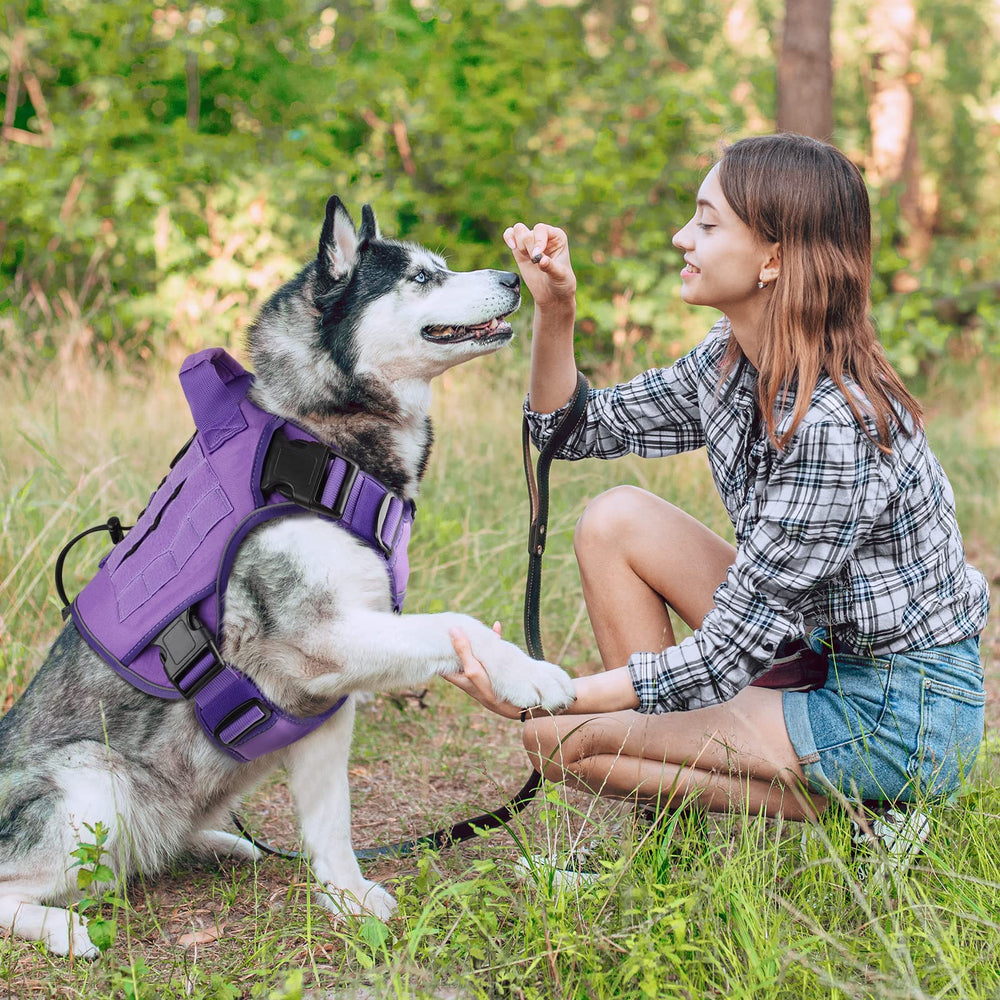 WINGOIN Purple Tactical Dog Harness breathable-mesh interior keeps pets comfortable