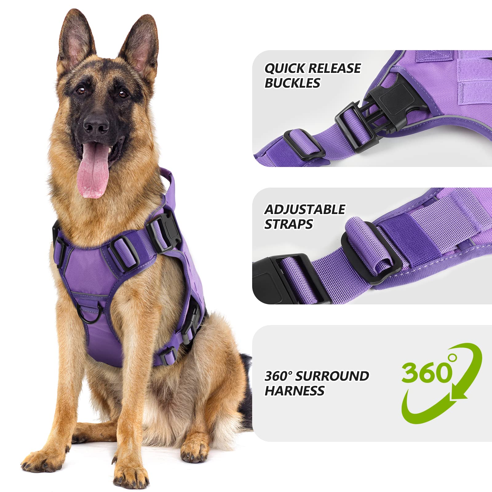 WINGOIN Purple Tactical Dog Harness D-rings close-up shows sturdy control during training