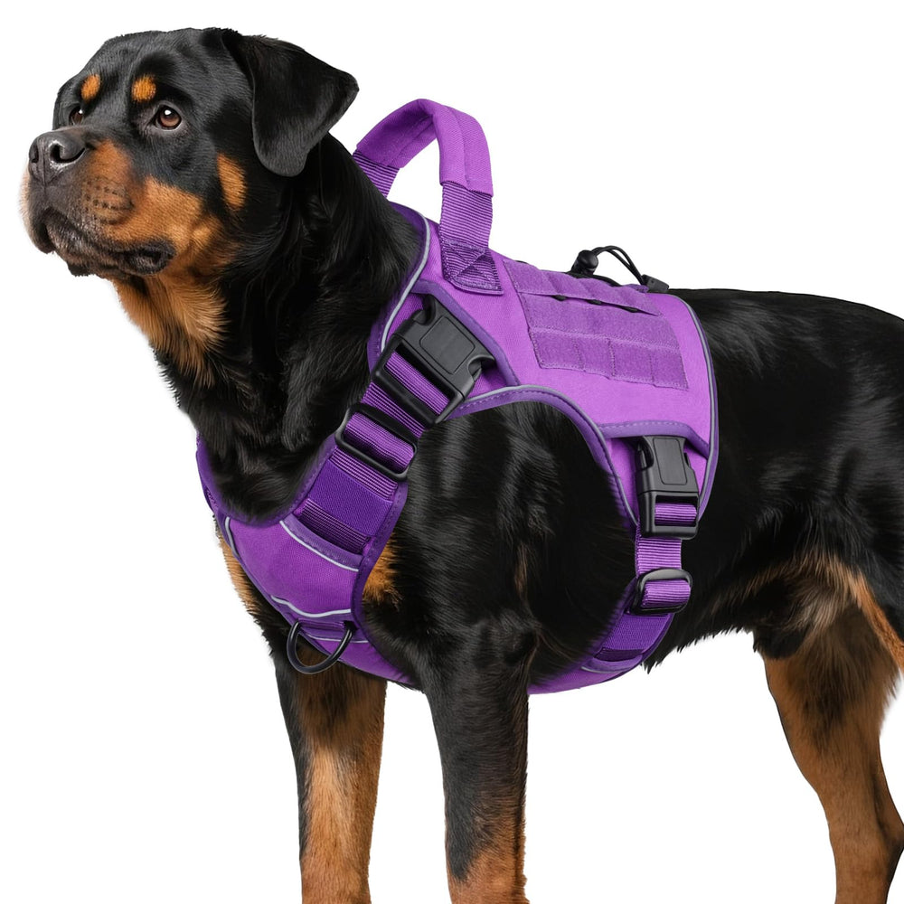 WINGOIN Purple Tactical Dog Harness side view demonstrates secure fit for walks