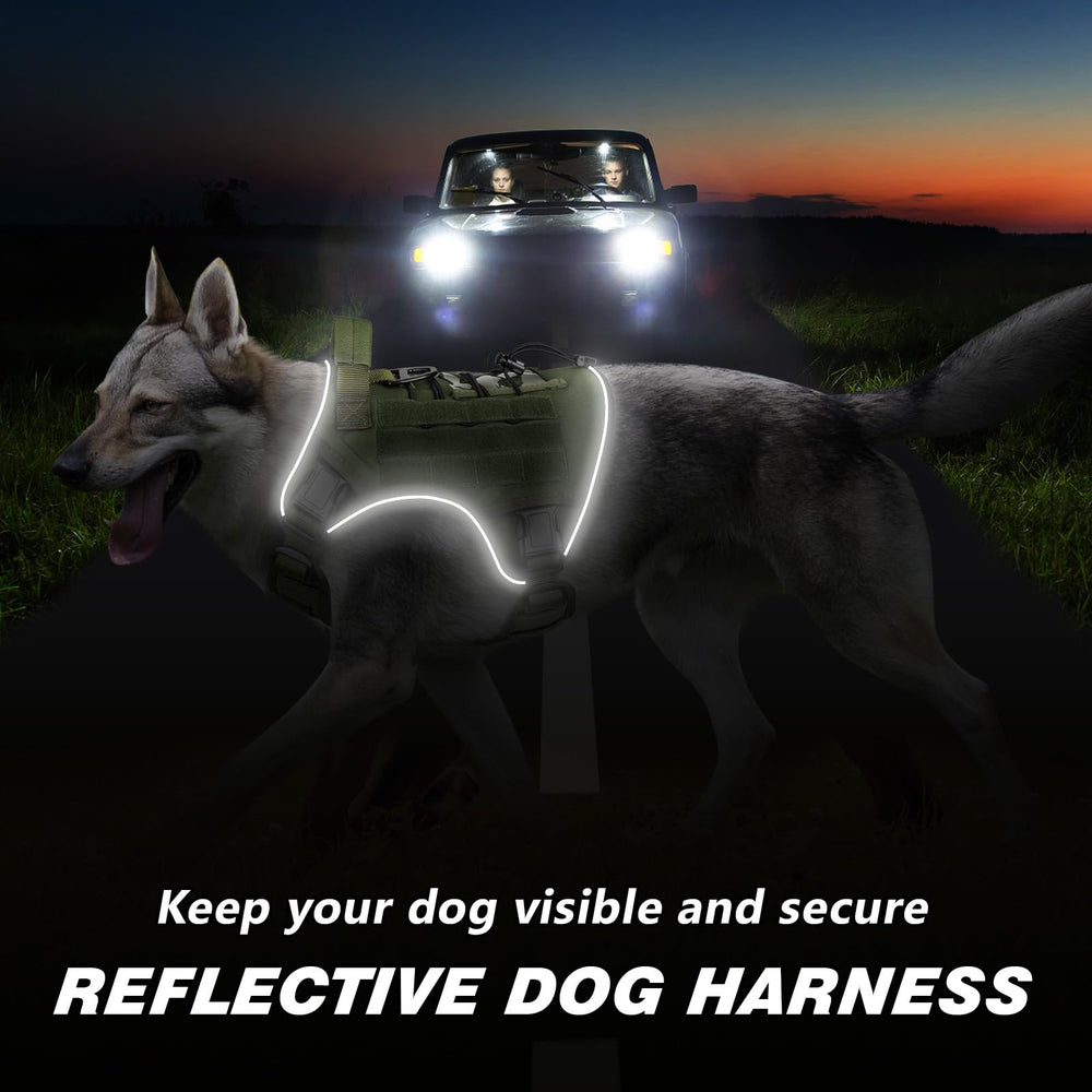 WINGOIN reflective strips improve visibility during evening walks for safety.