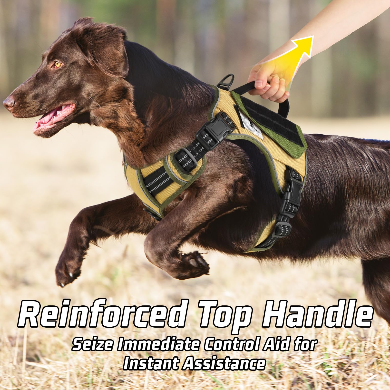 WINGOIN khaki harness back handle for quick lifts and emergencies.