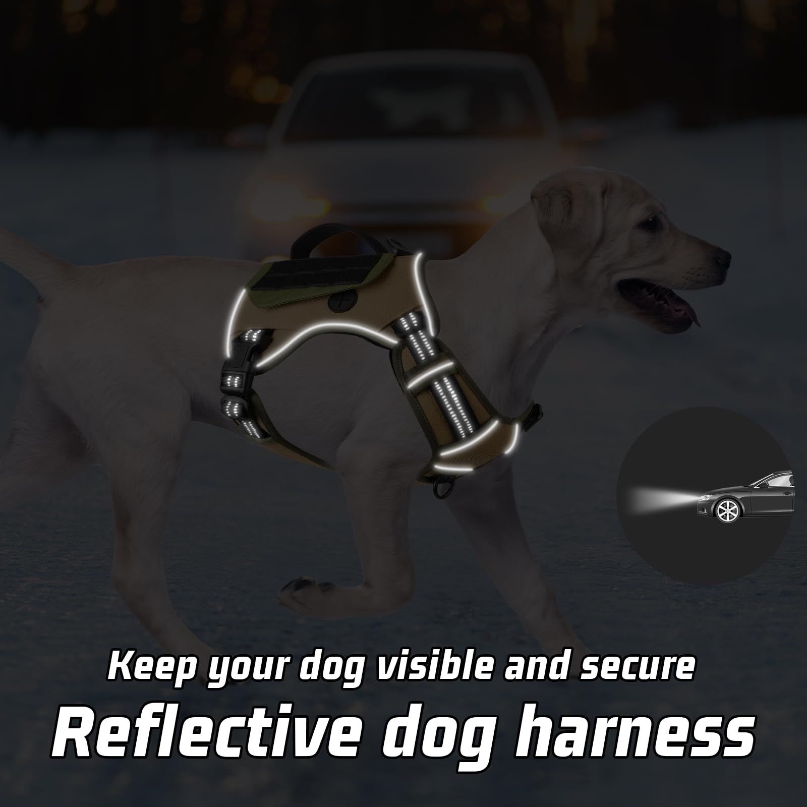 WINGOIN khaki harness with reflective strips enhances safety during night walks.