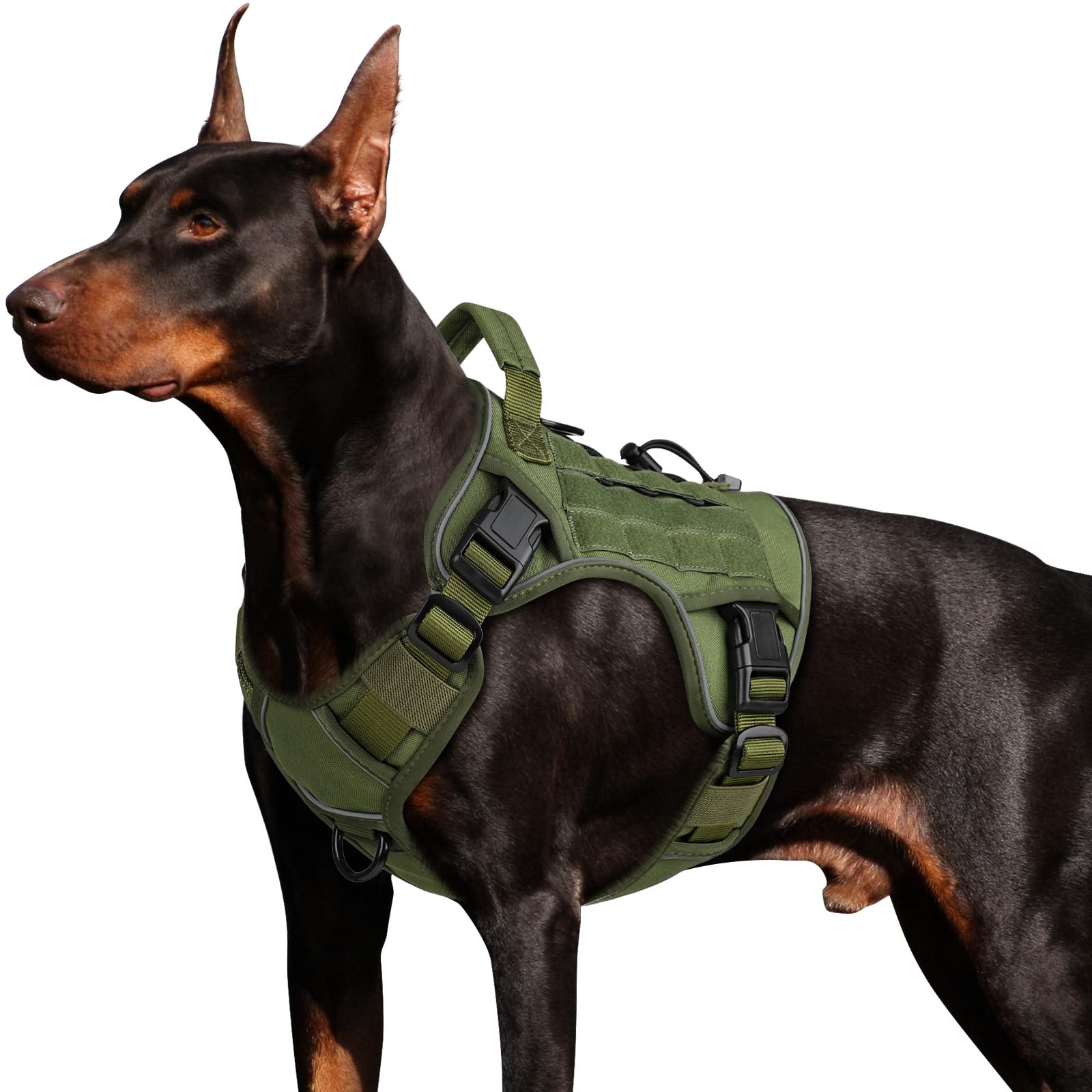 WINGOIN Tactical Harness side-entry buckles for quick on-and-off for large dogs.
