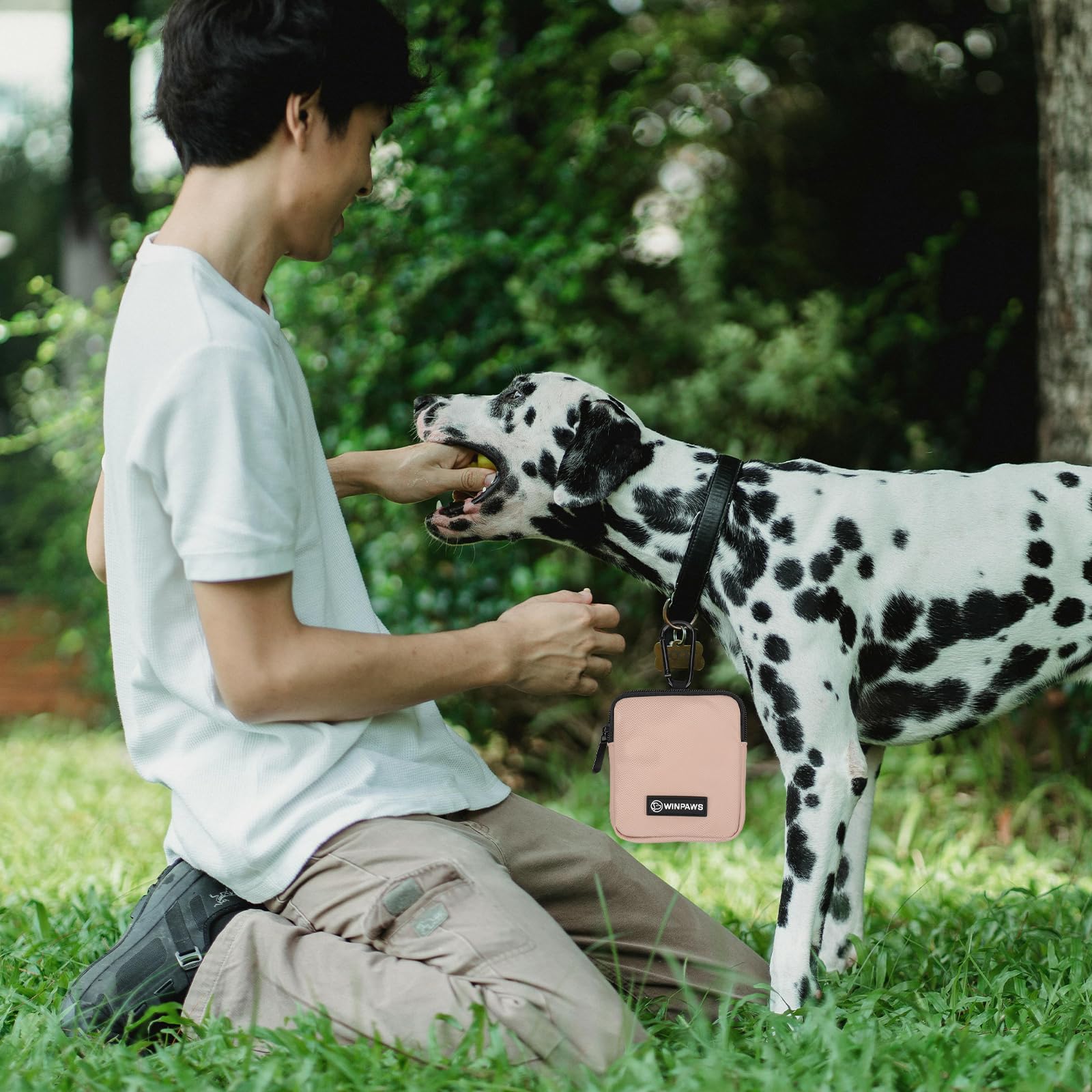WINPAWS dog treat pouch coffee carabiner clip enables hands-free carry