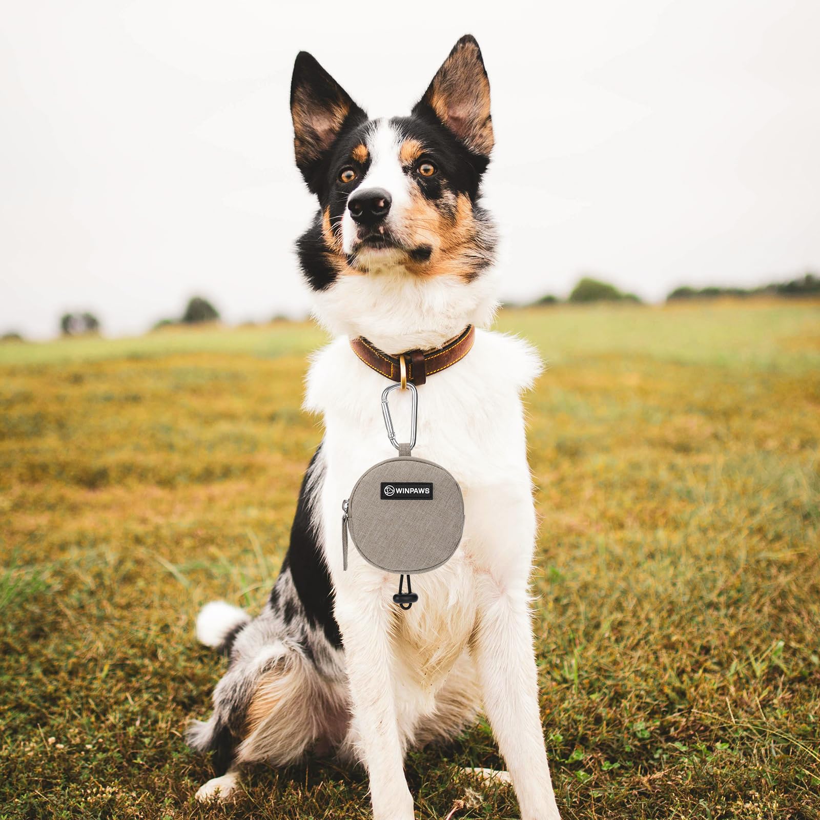 WINPAWS included poop-bag roll ensures quick cleanup during walks