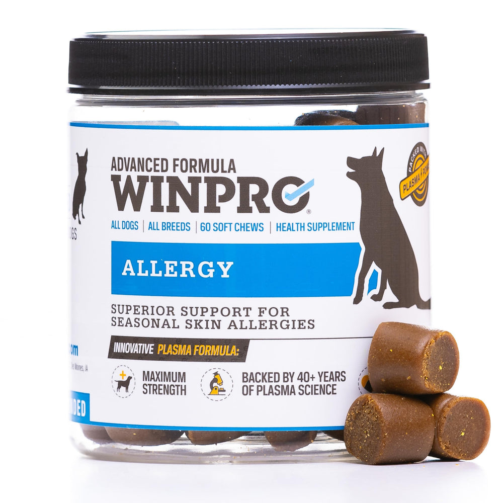 WINPRO Allergy Chews bottle close-up highlighting soft chews for seasonal allergy support