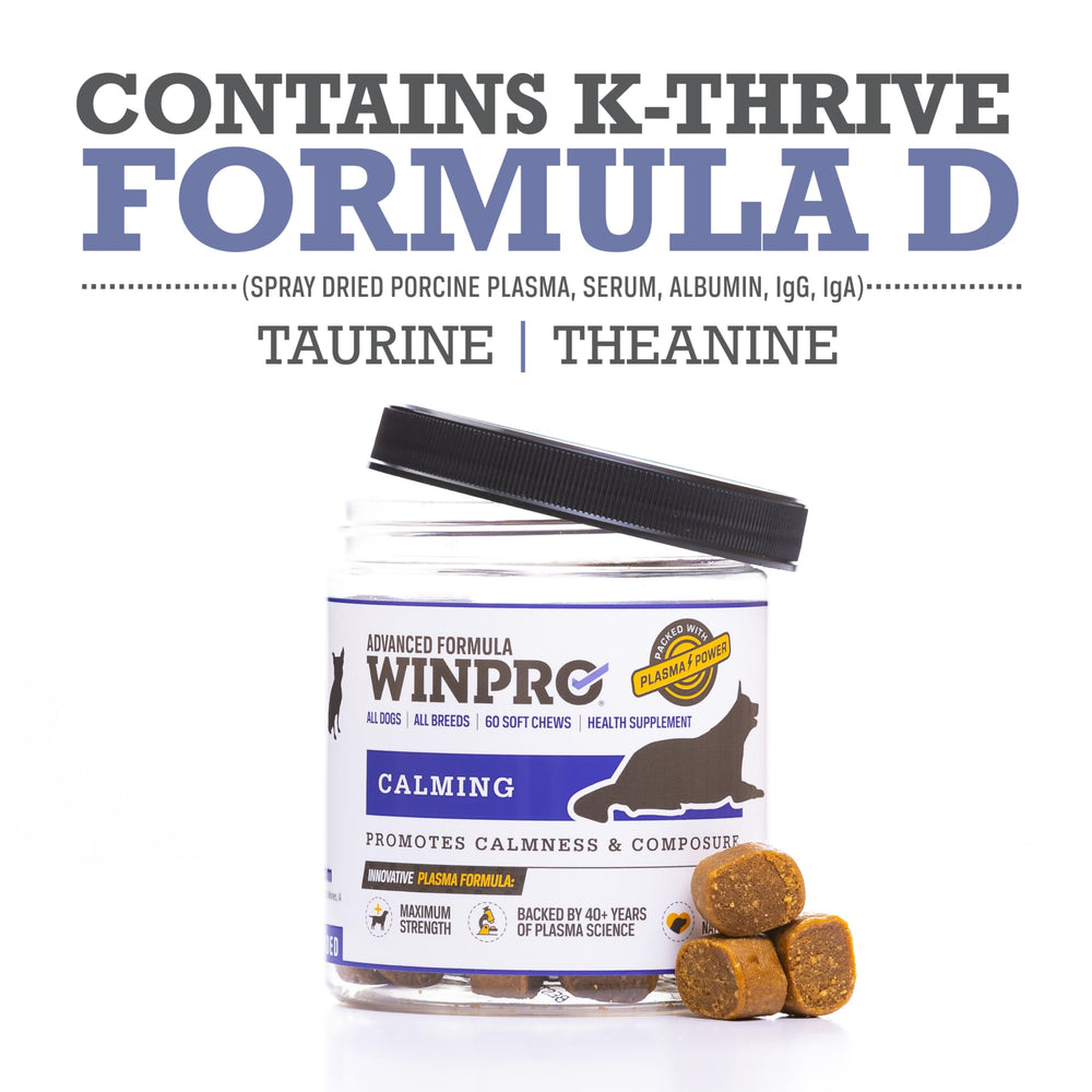 A relaxed dog resting after a walk demonstrates calming potential with WINPRO chews.