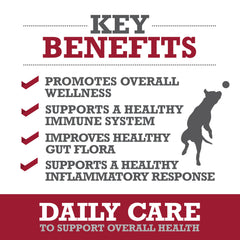 WINPRO Daily Care bottle with probiotic blend for gut-friendly support.