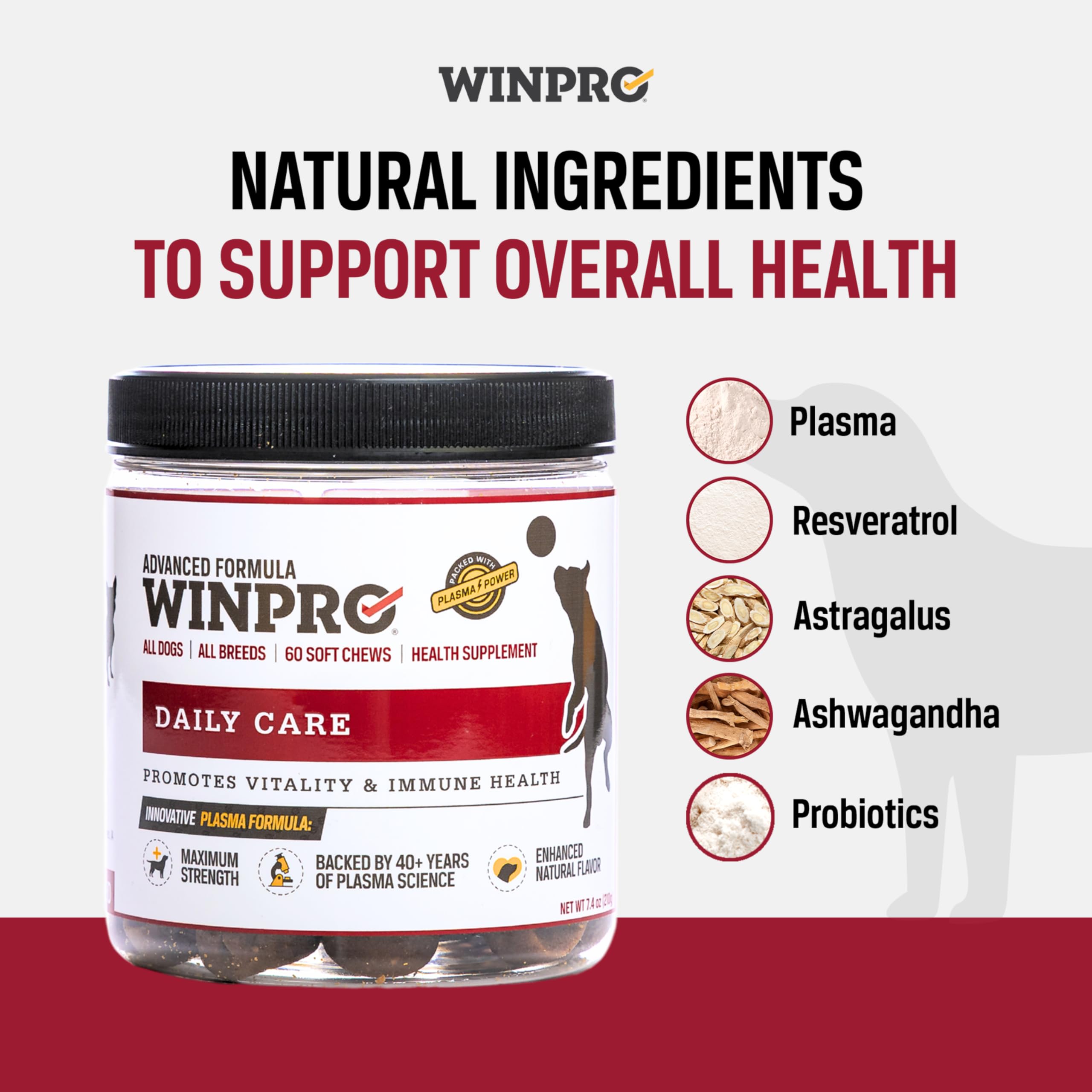WINPRO Daily Care chew close-up, showing grain-free texture and savory flavor.