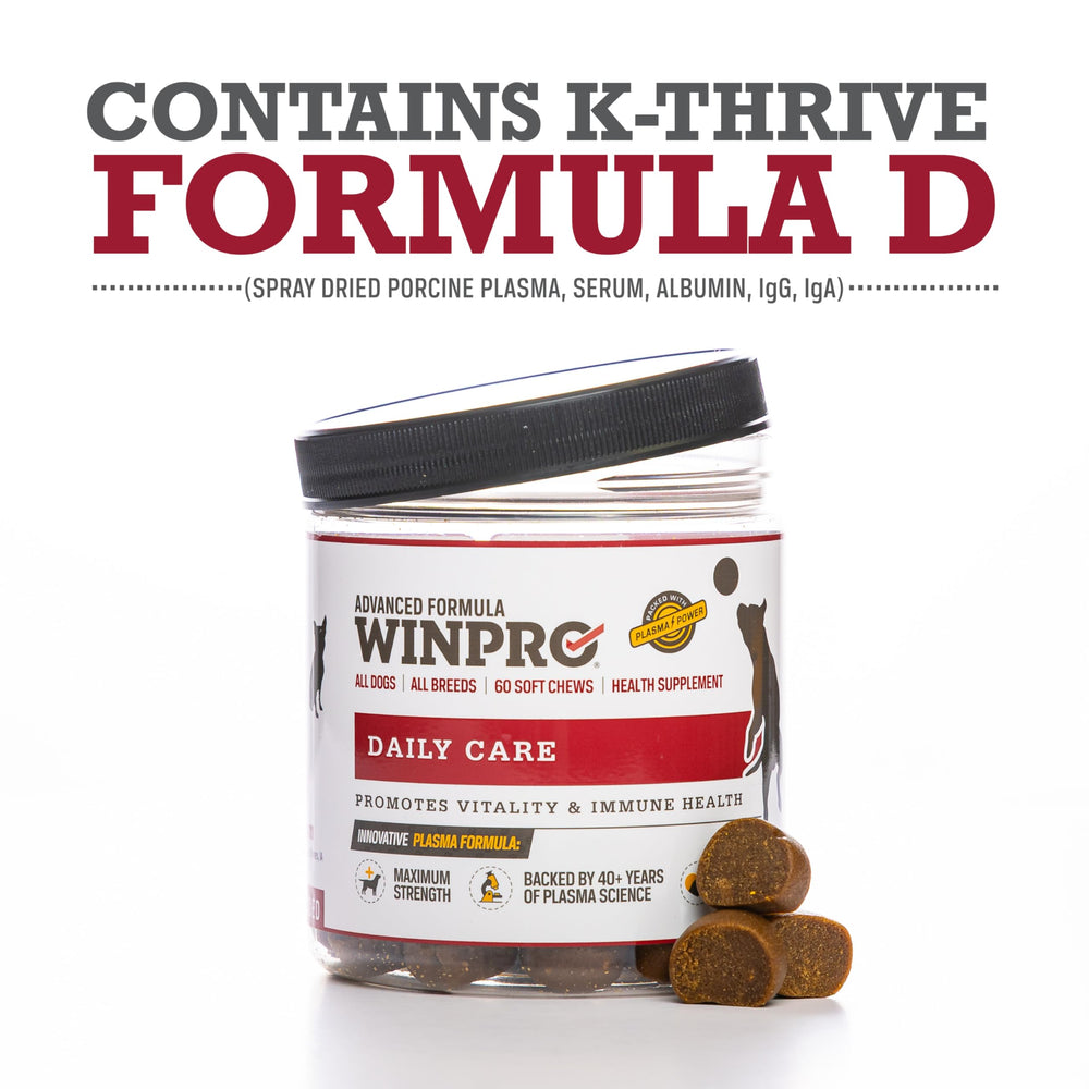 WINPRO dog enjoys soft chew during play, daily wellness potential.