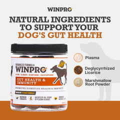 WINPRO Dog Gut Health Chews natural licorice and marshmallow root close-up promoting digestive comfort.