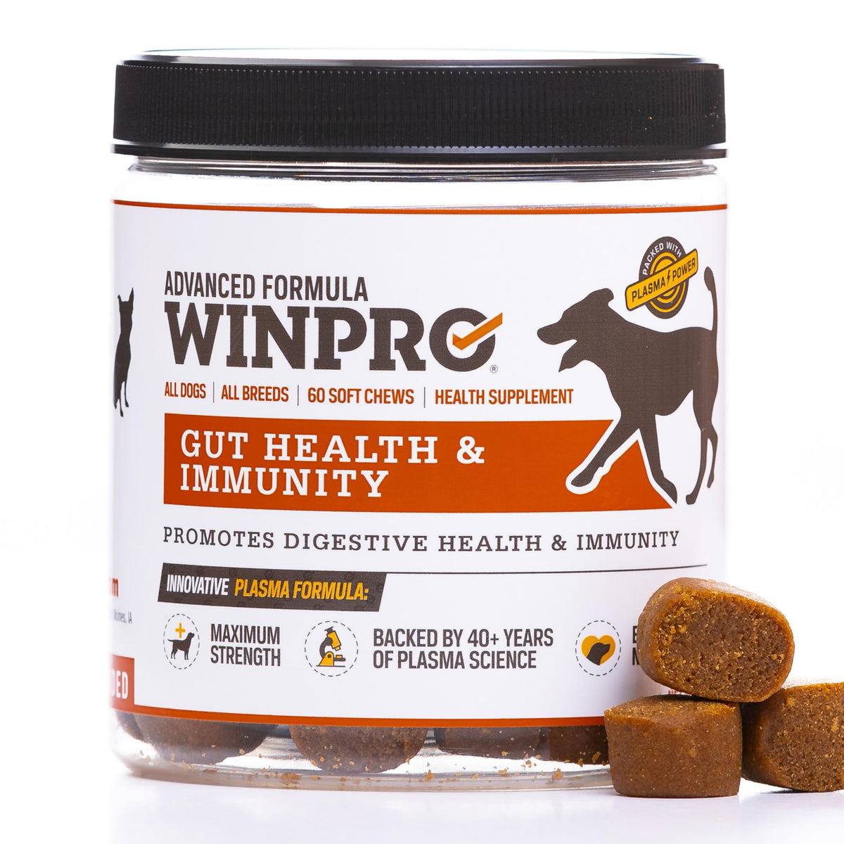 WINPRO Dog Gut Health Chews packaging showing 60-count bottle for daily gut support.