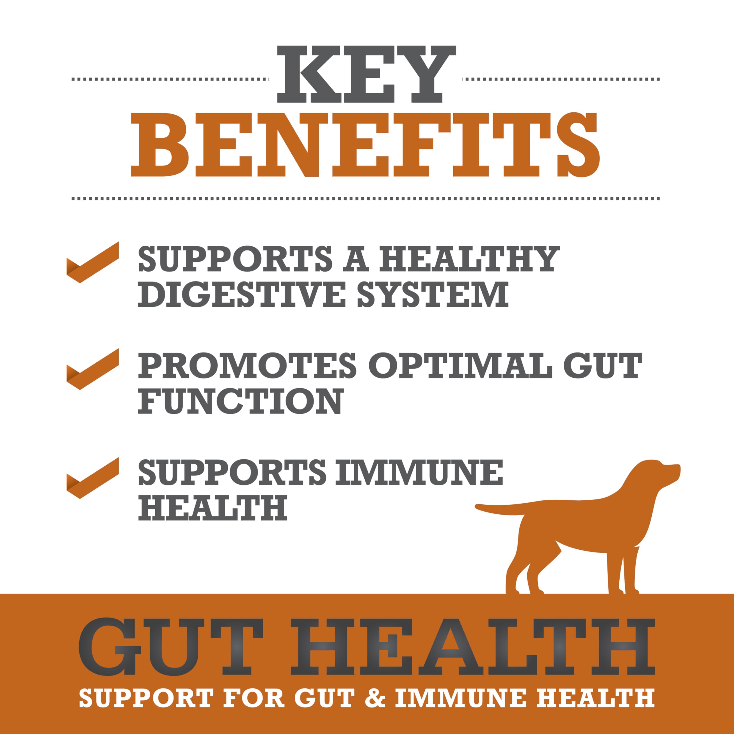 WINPRO Dog Gut Health Chews soft-texture close-up suggests a palatable daily immune boost.