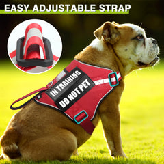 WINSEE 5ft dog leash demonstrating durability and length for controlled walking.