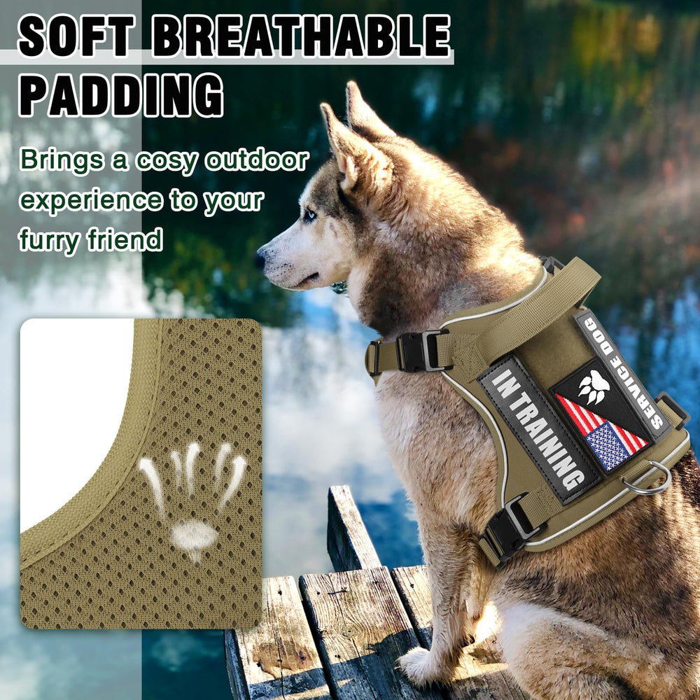 WINSEE padded back handle for better control during training and walks.