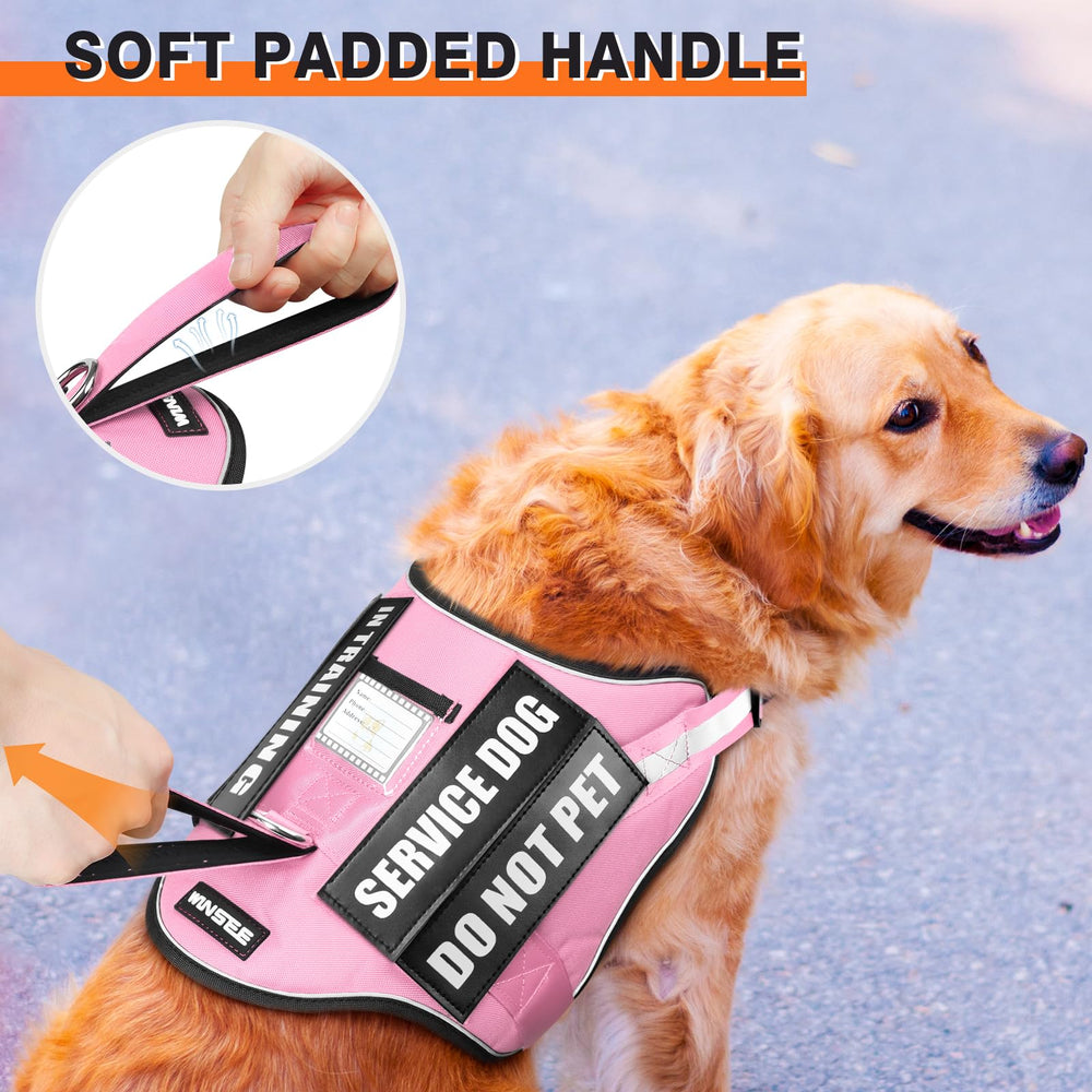 Mango frontal WINSEE para control rápido y seguro del perro durante emergencias.