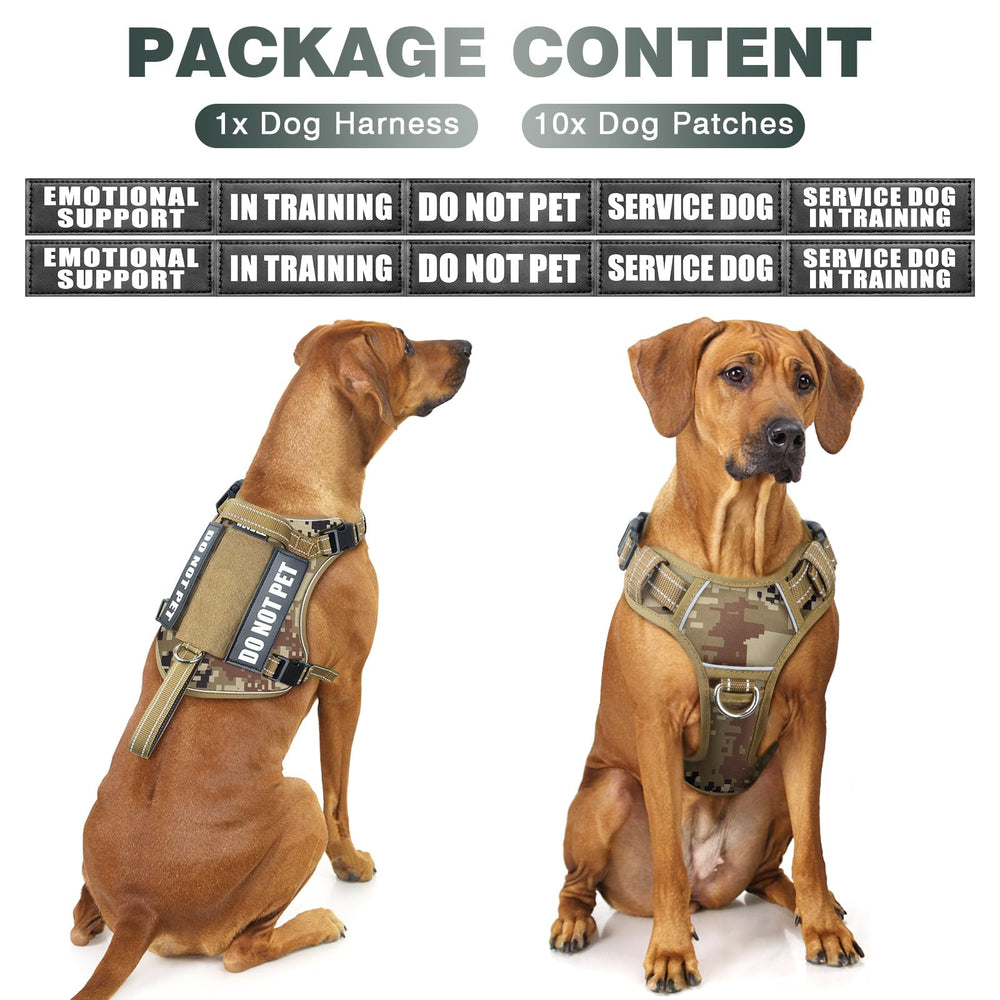 WINSEE no pull harness showing front clip for reduced pulling during walks