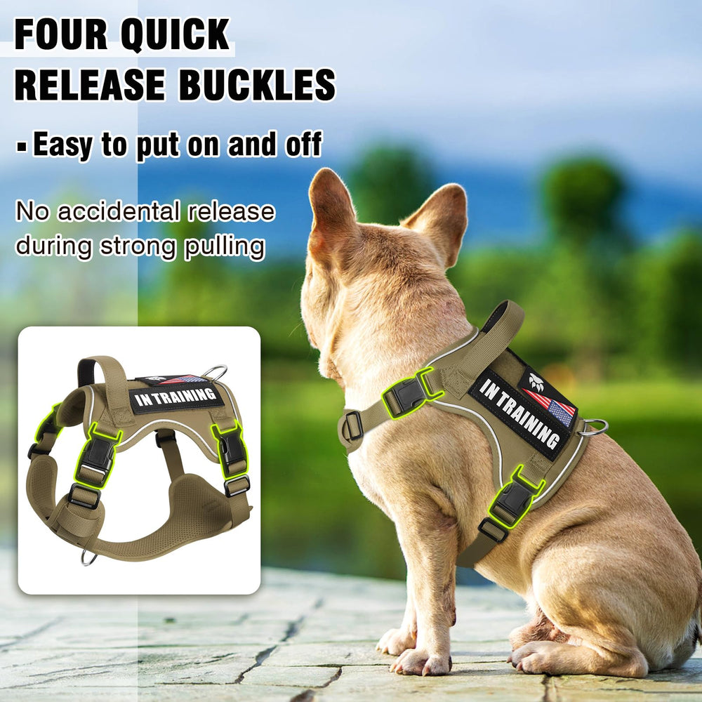 WINSEE no-pull front clip supports relaxed walking and reduces pulling.