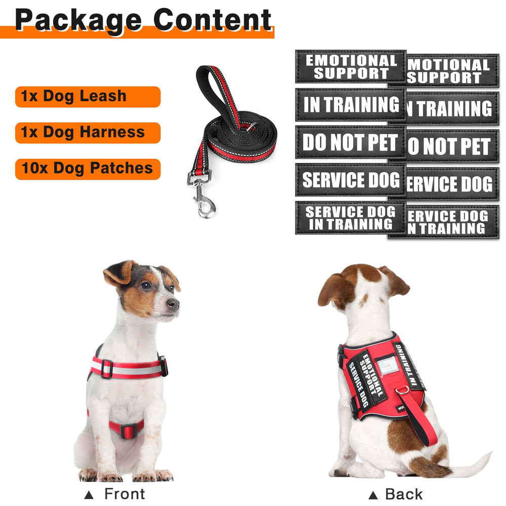 WINSEE reflective vest in low light for high visibility during dawn or dusk.