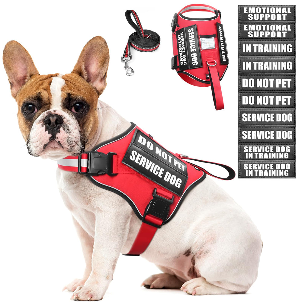WINSEE service dog harness front view with patches for clear identification during training.