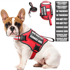 WINSEE service dog harness front view with patches for clear identification during training.
