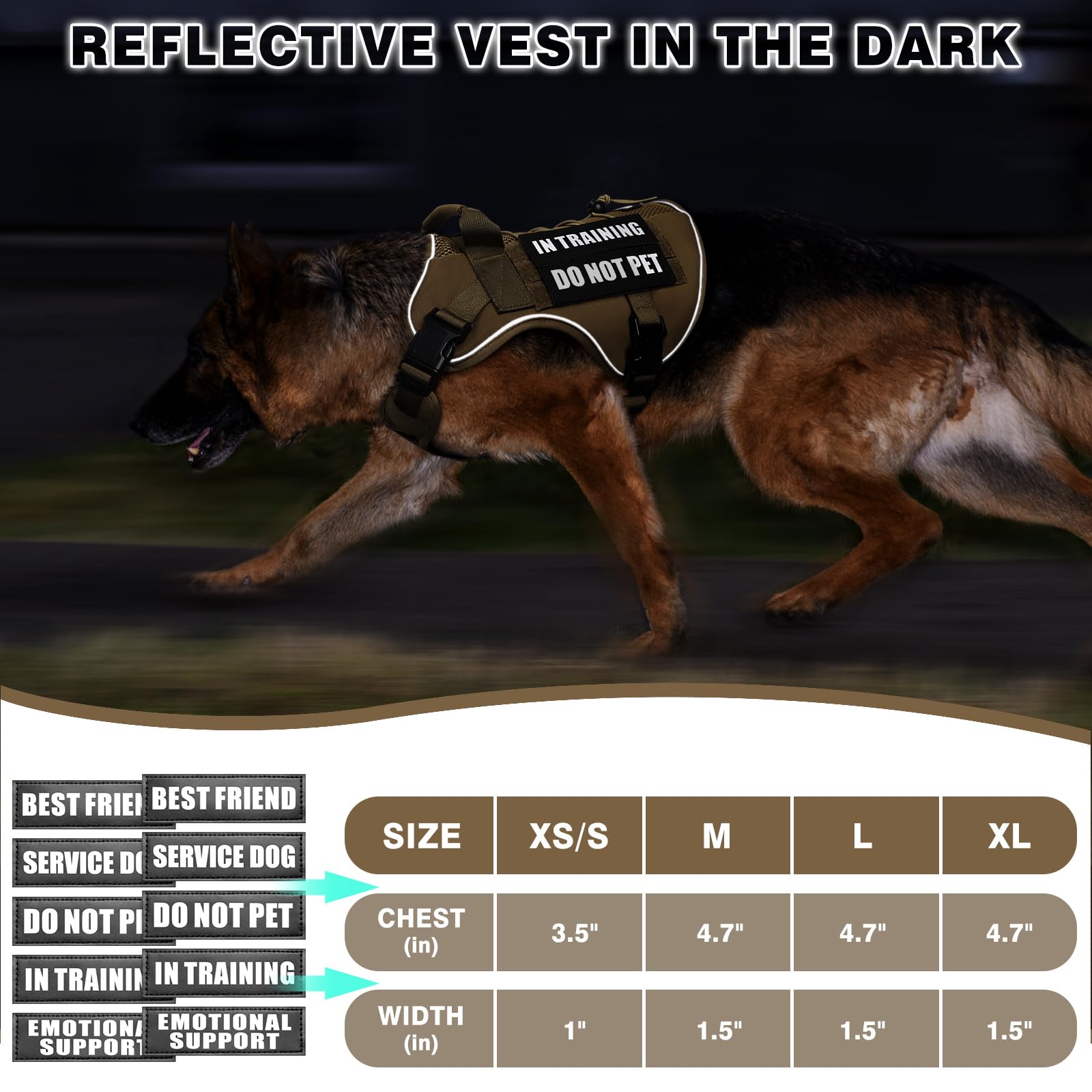 WINSEE harness on dog during hike shows durable build for large breeds