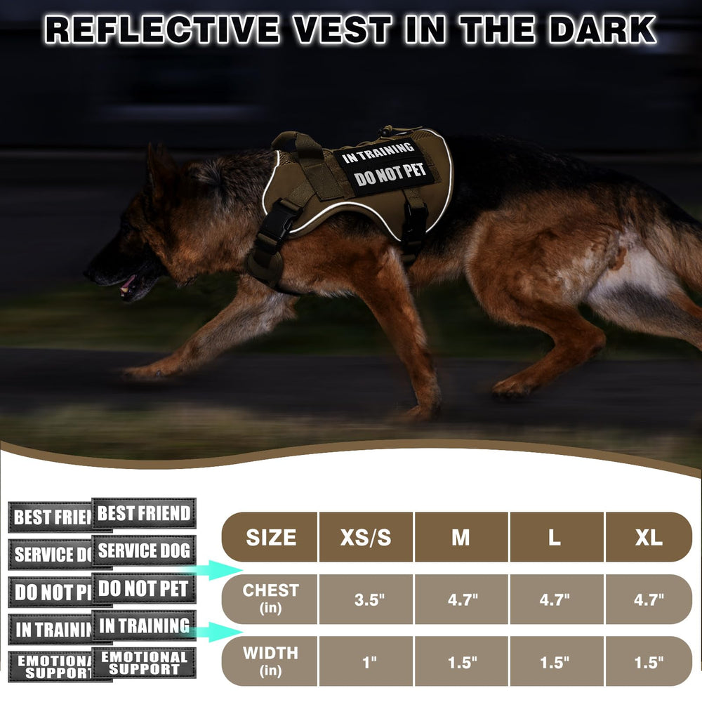 WINSEE harness on dog during hike shows durable build for large breeds