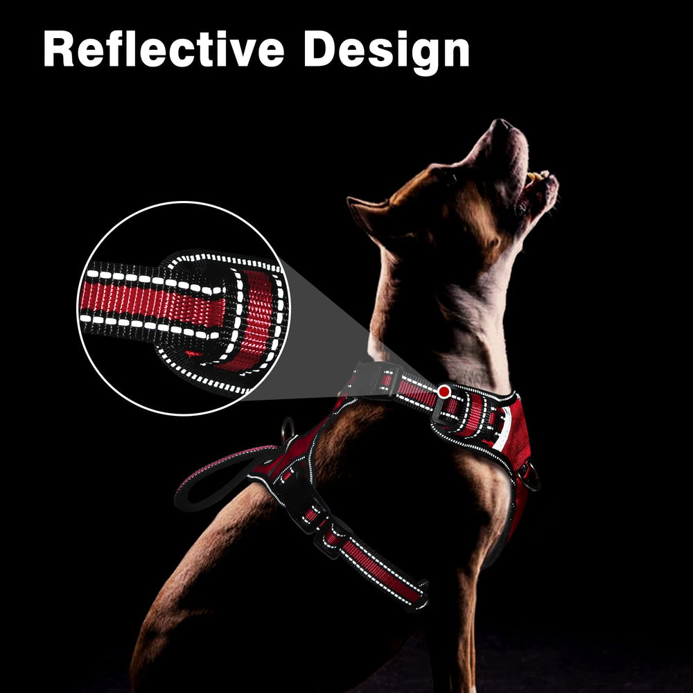 WINSEE adjustable neck and chest straps for a snug growing dog fit.