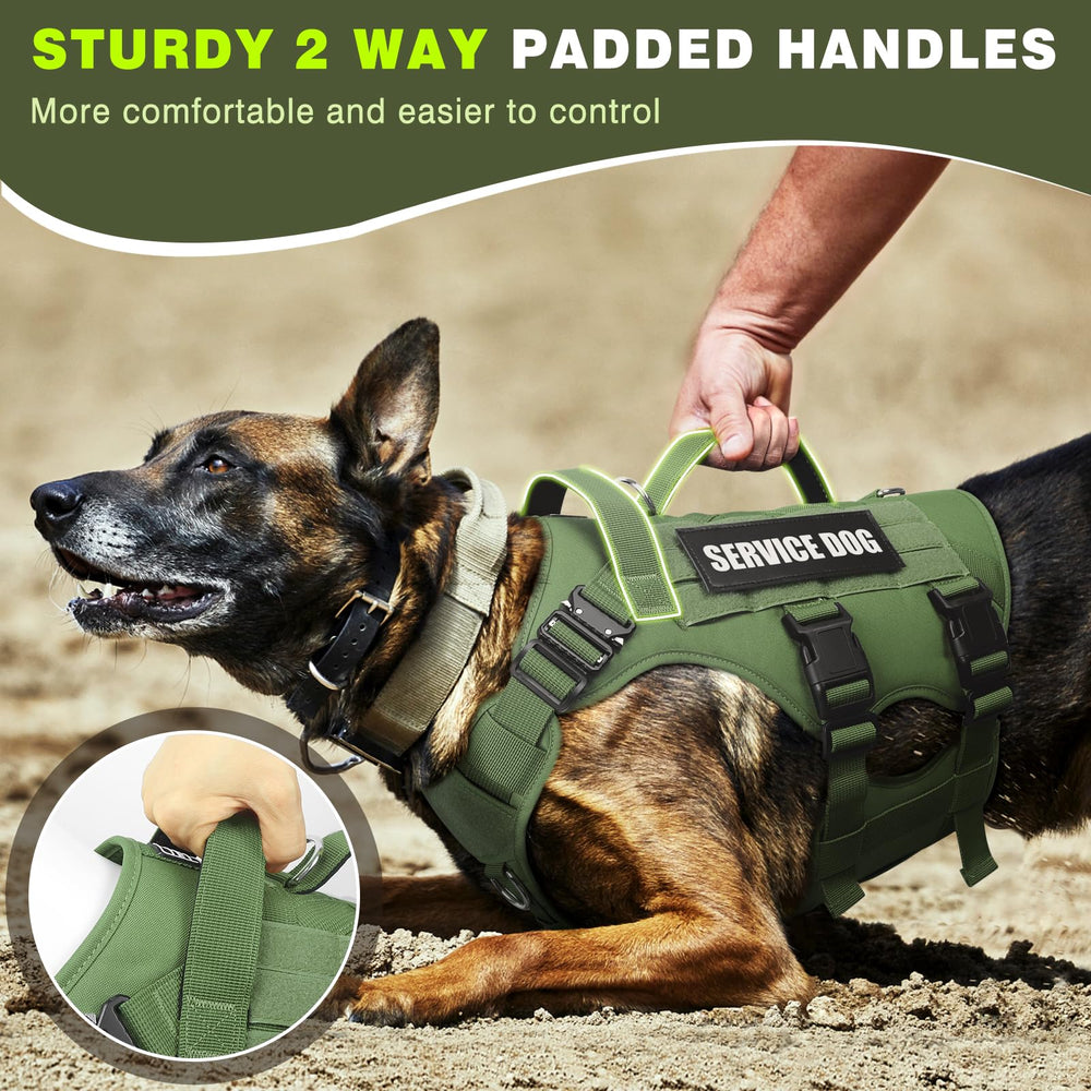 WINSEE service dog vest with 3 D-rings provides versatile leash options