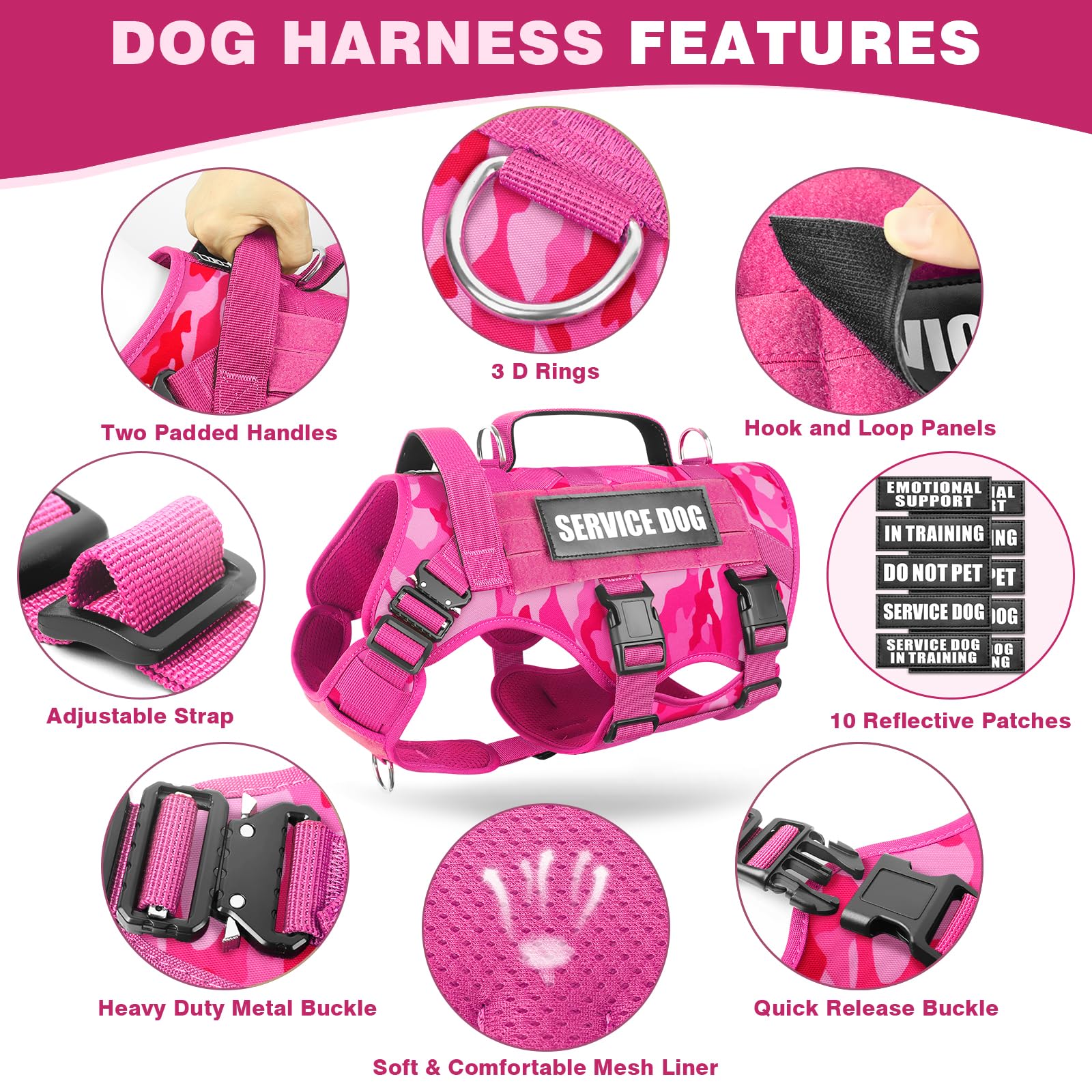 WINSEE double-handle design helps assist your dog safely