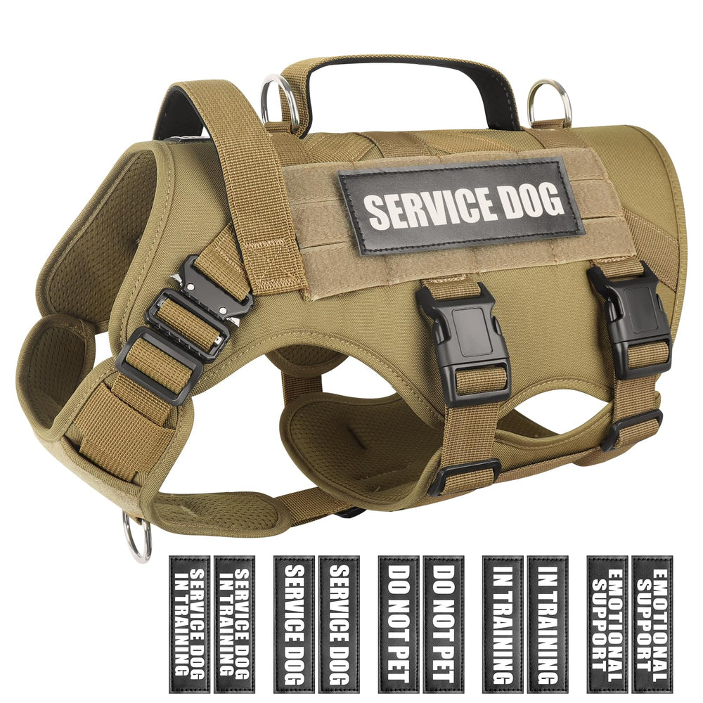 WINSEE service dog vest front view showing MOLLE panels for gear and patches during training
