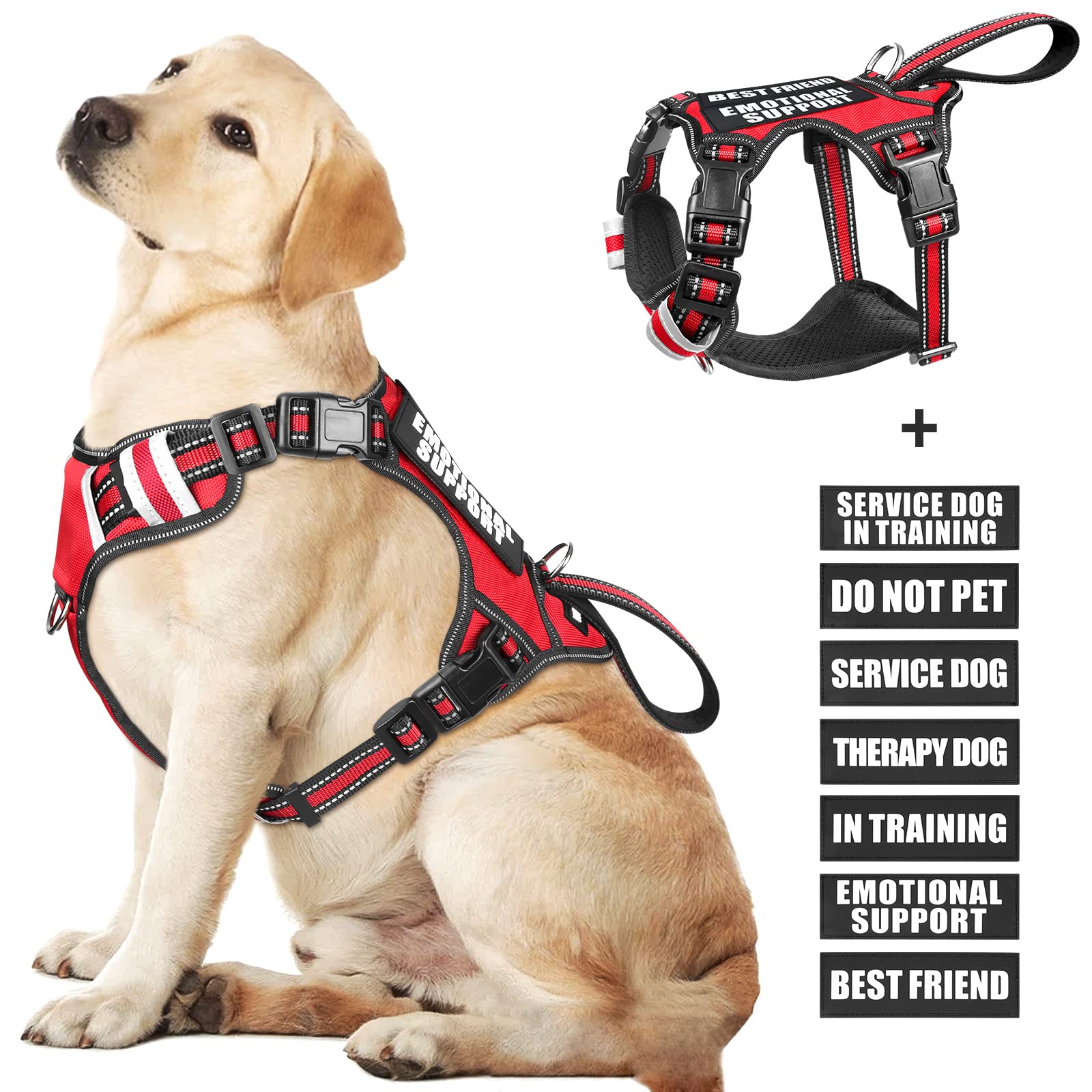 WINSEE service dog vest front view with no pull design for safer, steadier walks.