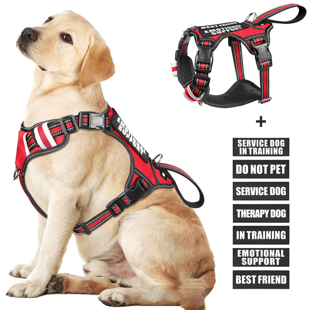 WINSEE service dog vest front view with no pull design for safer, steadier walks.