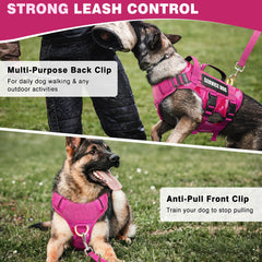 WINSEE service dog vest with metal buckles supports secure training sessions