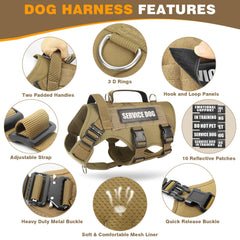 WINSEE vest close-up on MOLLE system and patches for customization