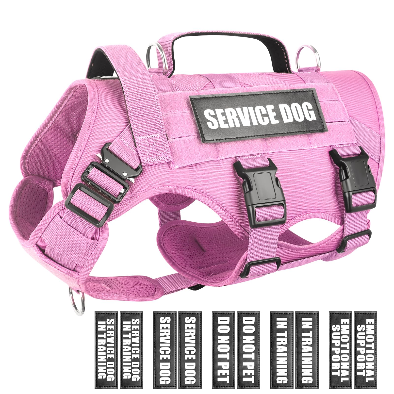 WINSEE service dog vest with MOLLE system enables modular gear for training.