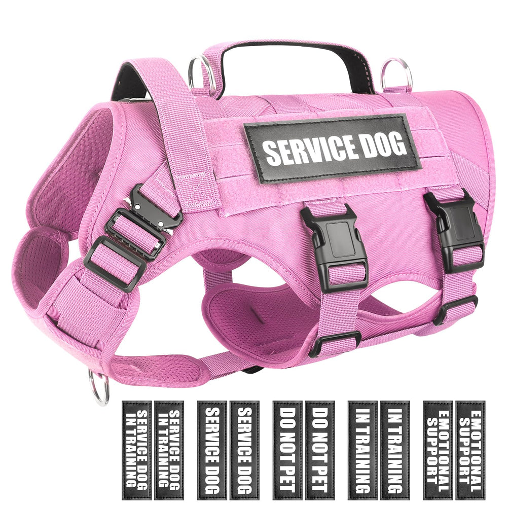 WINSEE service dog vest with MOLLE system enables modular gear for training.