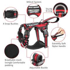 WINSEE no pull front buckle and back leash attachment for controlled walking.