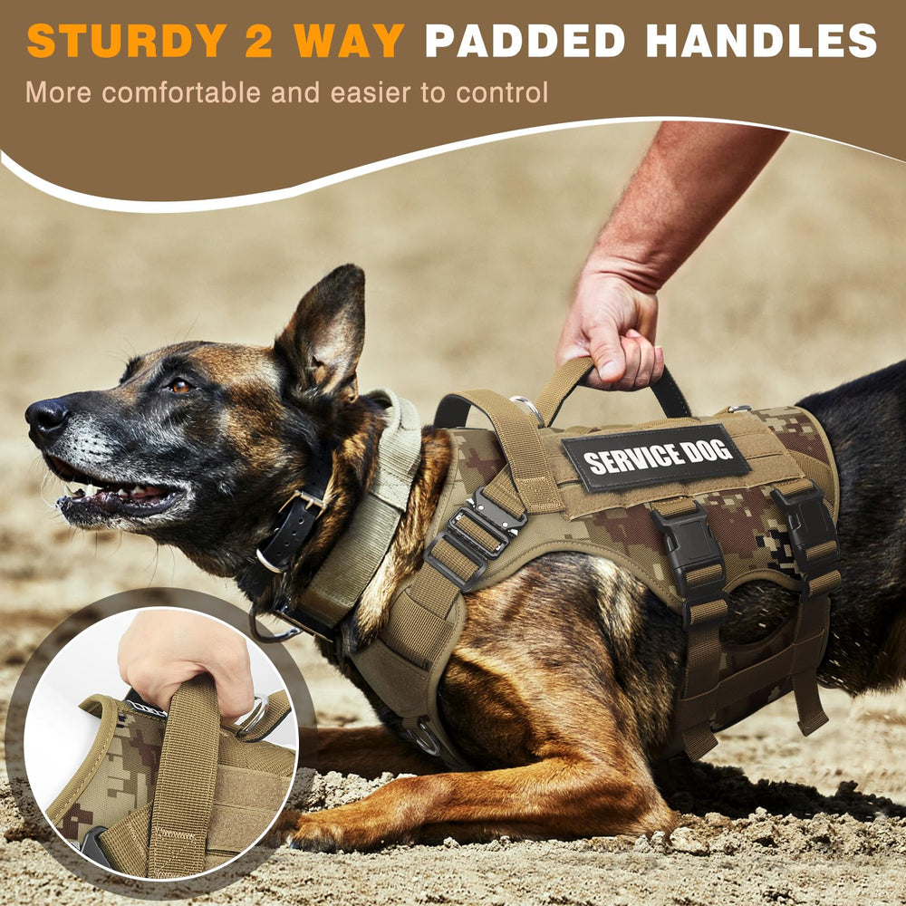 WINSEE patches and Molle panel highlight dog identity and role through morale badges.
