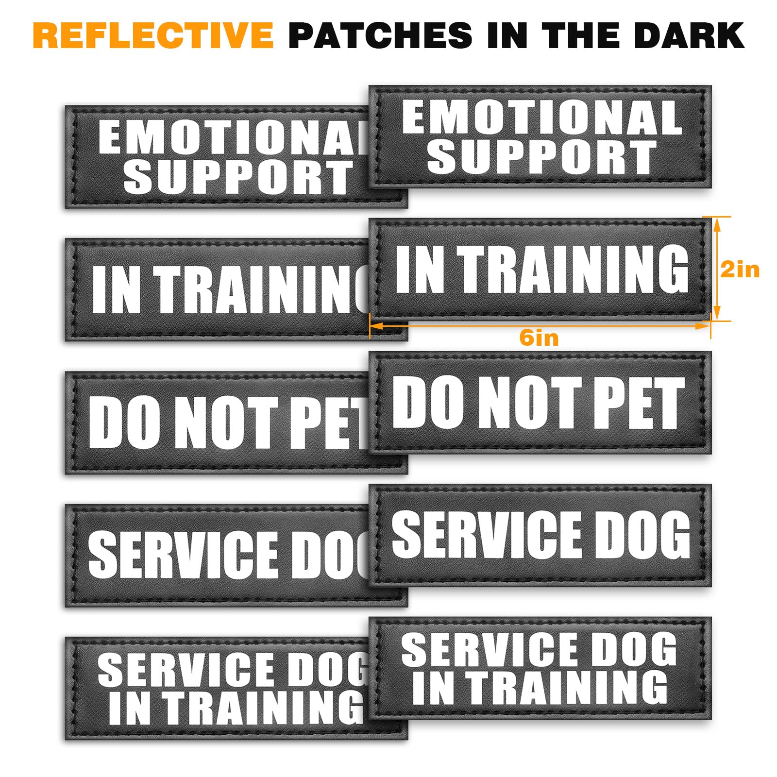 WINSEE size chart and fit guidance improves correct harness selection for large breeds.
