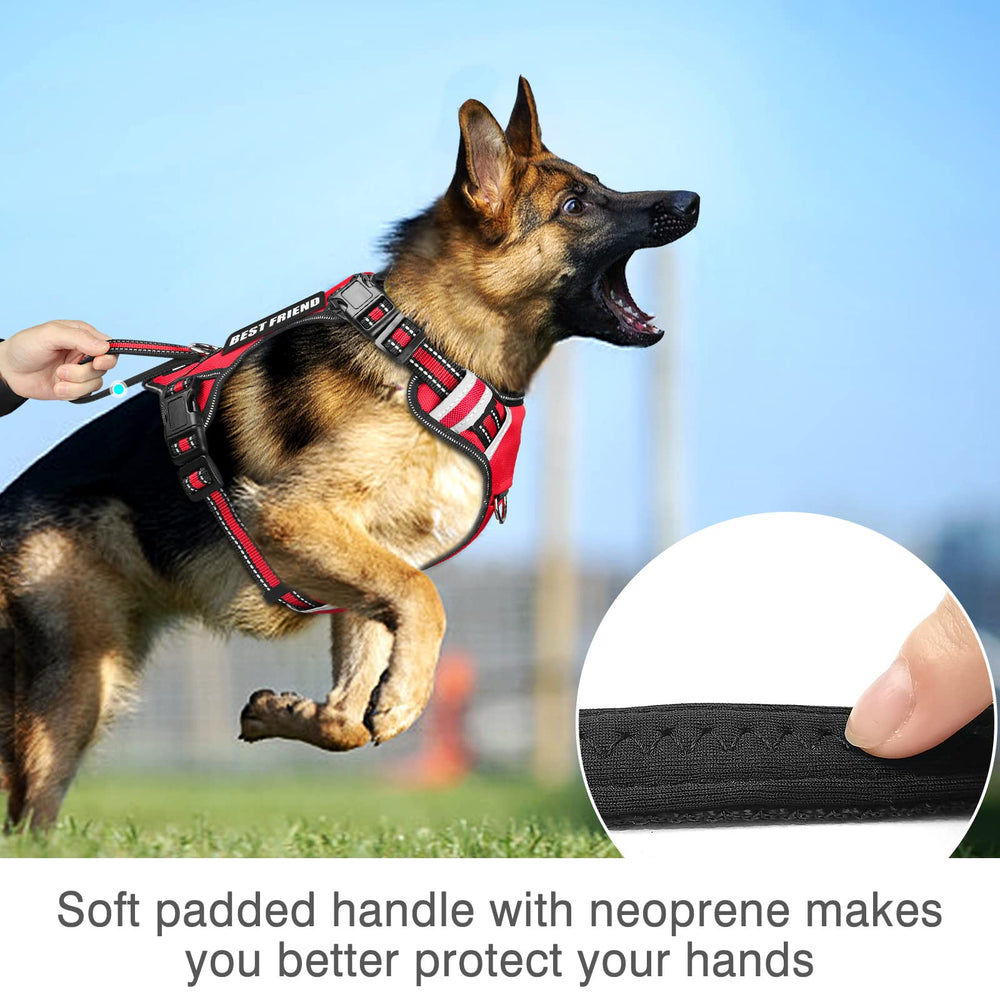 WINSEE size chart demonstrating Small to XL fit ranges for dogs.