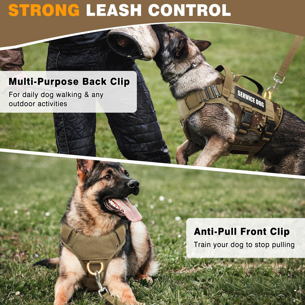WINSEE vest three D-rings provide versatile leash options for training, walking, or hiking.