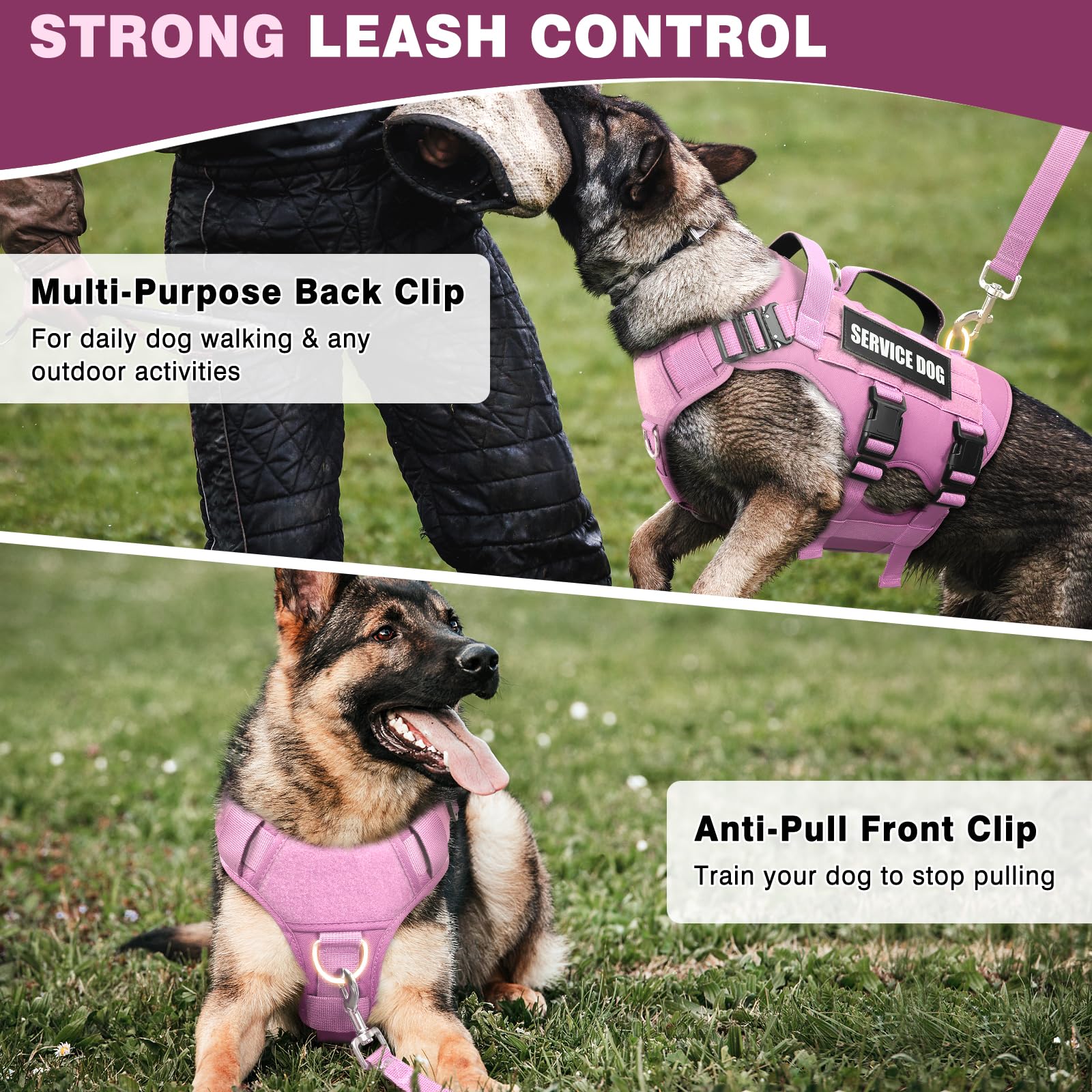 WINSEE vest illustrates three D-rings for versatile leash options.