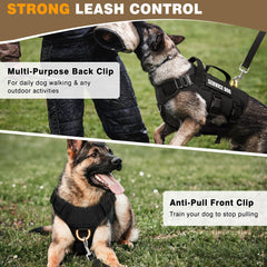 WINSEE vest with three D rings for versatile leash attachment options.