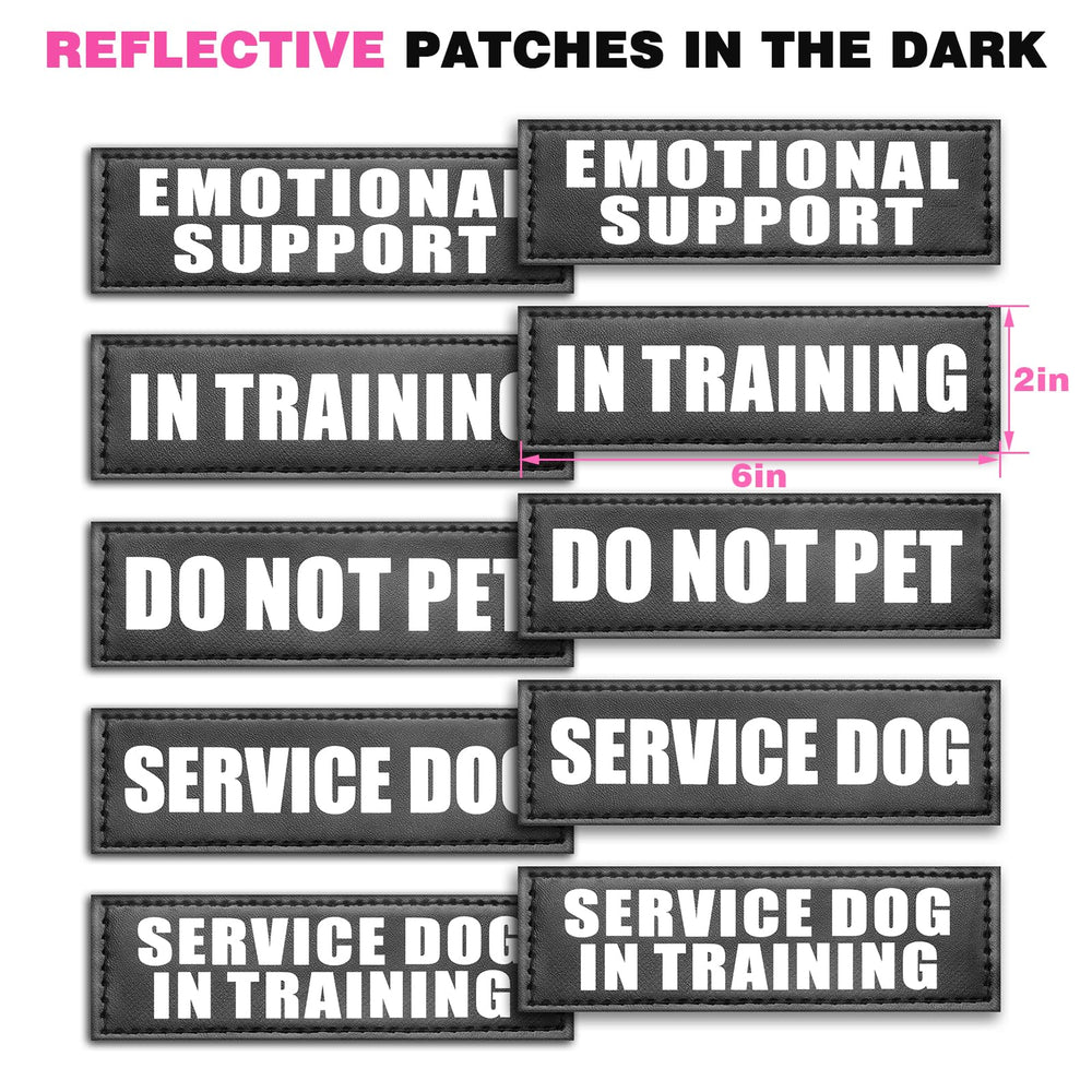 WINSEE service dog vest in use during walks and training.