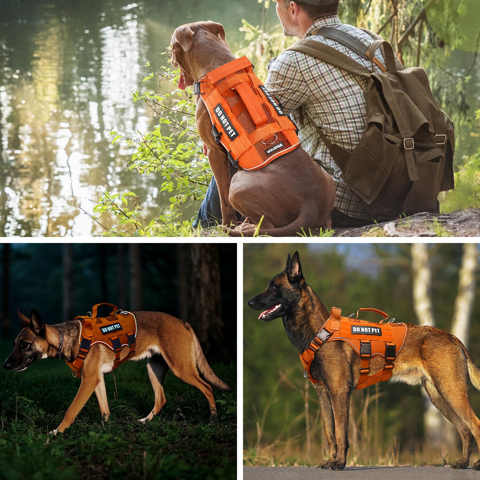 WINSEE size chart-focused harness helps you match measurements for better fit and comfort