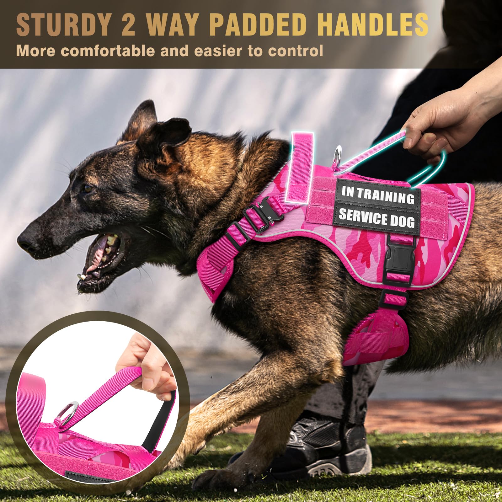 WINSEE back handle offers quick control in crowded areas